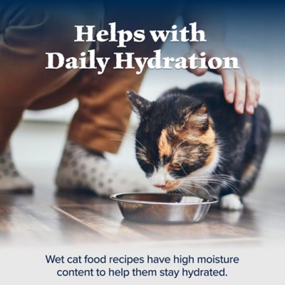 Image showing 6 th Blue Buffalo Wilderness Grain-Free Chicken Recipe Wet Cat Food, 3 oz. Can