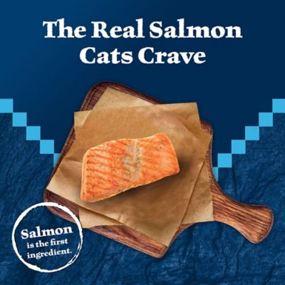 Image showing  Grain-Free Salmon Recipe Wet Cat Food, 3 oz. Can