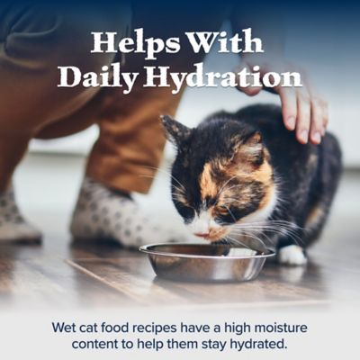 Image showing 6 th Blue Buffalo Wilderness Grain-Free Salmon Recipe Wet Cat Food, 3 oz. Can