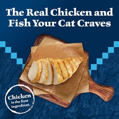 Image showing  Wild Delights Chicken & Trout in Tasty Gravy Wet Cat Food 3 oz. Can