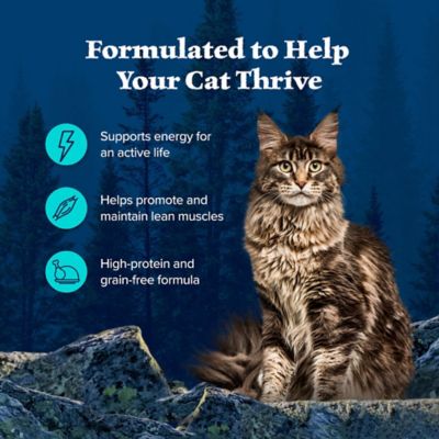 Image showing  Wild Delights Chicken & Trout in Tasty Gravy Wet Cat Food 3 oz. Can