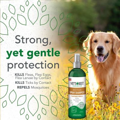 Image showing  Natural Anti-Flea Easy Spray Shampoo 16oz