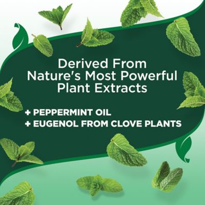 Image showing  Natural Flea and Tick Home Spray, 32 oz.