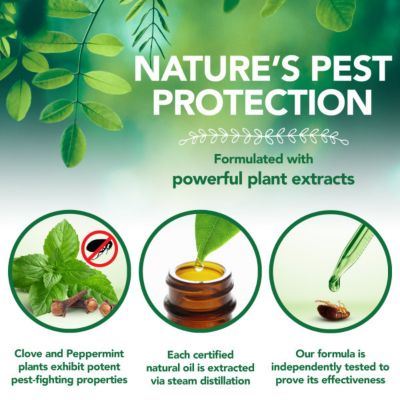 Image showing Vet's Best Flea and Tick Yard and Kennel Spray, 32 oz.