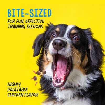 Image showing  Train-Me! Training Treats, Chicken Flavor, 16 oz.
