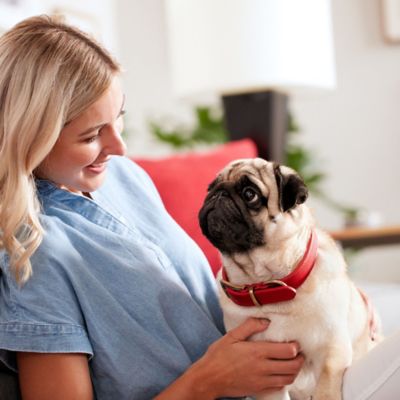 Image showing  Original Dog Biscuit Crunchy Treats, Small Dogs, 24 oz.