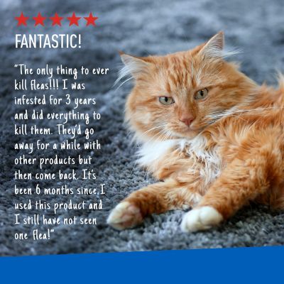 Image showing 6 th Adams Plus Flea & Tick Carpet Powder, 16 oz.