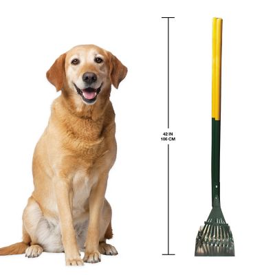 Image showing  Rake Set Pooper Scooper Small