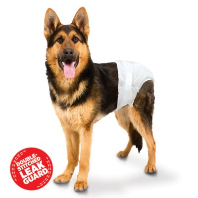 Image showing  Male or Female Disposable Dog Diapers, Large/Extra Large, 12 ct.