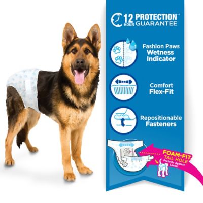 Image showing 6 th Wee-Wee Male or Female Disposable Dog Diapers, Large/Extra Large, 12 ct.