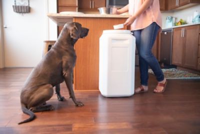 Image showing  Outback Container, 80 lb.