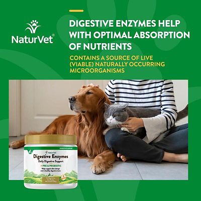 Image showing  Digestive Enzymes Powder for Dogs and Cats