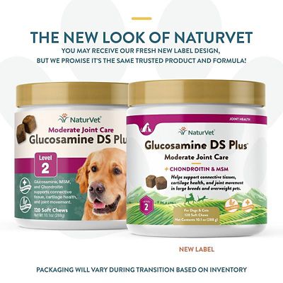 Image showing  Glucosamine DS Plus Level 2 Moderate Care Soft Chewable Hip and Joint Supplement for Dogs and Cats, 0.87 lb., 120 ct.
