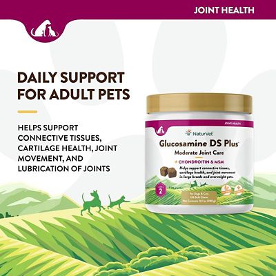 Image showing  Glucosamine DS Plus Level 2 Moderate Care Soft Chewable Hip and Joint Supplement for Dogs and Cats, 0.87 lb., 120 ct.
