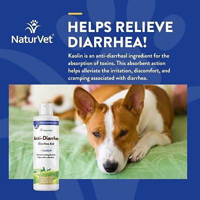Image showing  Anti-Diarrhea Aid with Kaolin Liquid Supplement for Cats and Dogs, 8 oz.