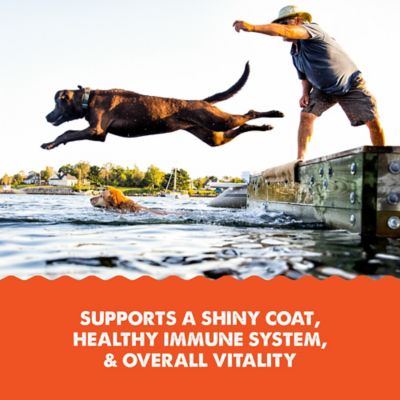 Image showing  Salmon Oil for Dogs 8 oz. Pump