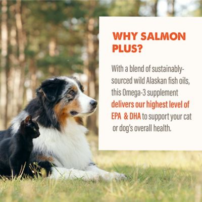 Image showing  Salmon Oil for Dogs 8 oz. Pump