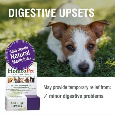 Image showing  Digestive Upsets Liquid Supplement for Cats and Dogs
