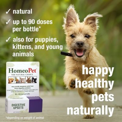 Image showing  Digestive Upsets Liquid Supplement for Cats and Dogs