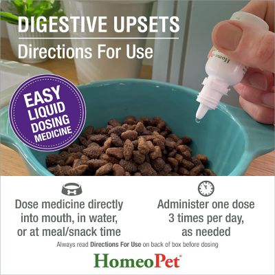 Image showing 5 th HomeoPet Digestive Upsets Liquid Supplement for Cats and Dogs