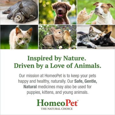 Image showing 6 th HomeoPet Digestive Upsets Liquid Supplement for Cats and Dogs