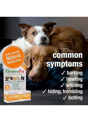 Image showing  Storm Stress, 15 mL