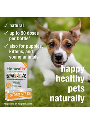 Image showing  Storm Stress, 15 mL