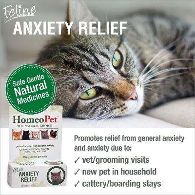 Image showing  Anxiety Relief Cat 15ml