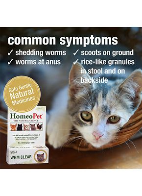 Image showing  Feline WRM Clear Worm Remedy, 15 ml.