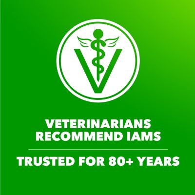 Image showing 9 th Iams ProActive Health Large Breed Adult Real Chicken Recipe Dry Dog Food