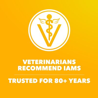 Image showing 6 th Iams Proactive Health Puppy Chicken and Whole Grain Recipe Dry Dog Food