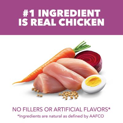 Image showing  ProActive Health Adult Mature Chicken Recipe Dry Dog Food