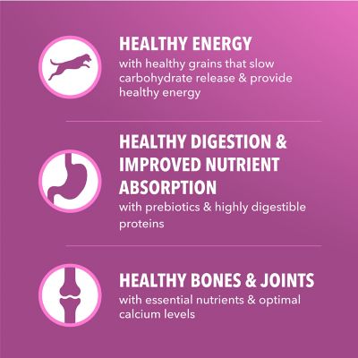 Image showing 6 th Iams ProActive Health Adult Mature Chicken Recipe Dry Dog Food