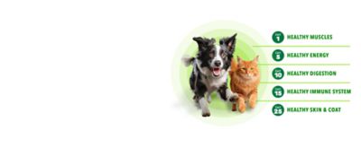 Image showing  Proactive Health Large Breed Adult Real Chicken and Whole Grain Recipe Dry Dog Food