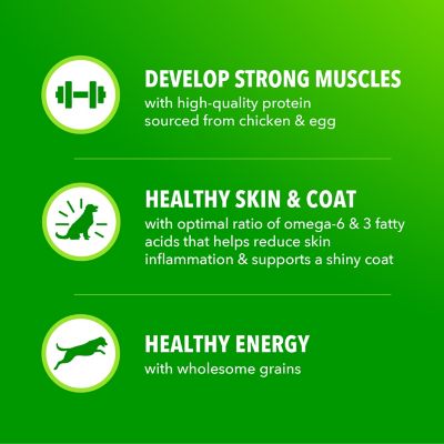 Image showing 6 th Iams ProActive Health Large Breed Adult Real Chicken Recipe Dry Dog Food