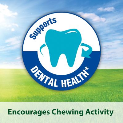 Image showing Kaytee Alfalfa Cubes 6/15 oz.