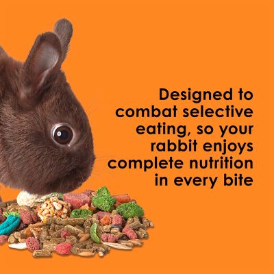 Image showing Kaytee Fiesta Max Rabbit 6/3.5 lb.