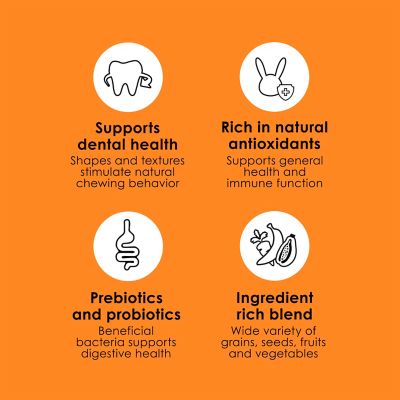 Image showing Kaytee Fiesta Max Rabbit 6/3.5 lb.