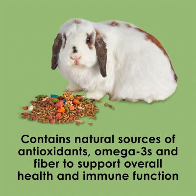 Image showing 5 th Kaytee Fiesta Max Rabbit 6/3.5 lb.