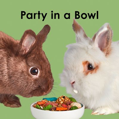 Image showing 9 th Kaytee Fiesta Max Rabbit 6/3.5 lb.