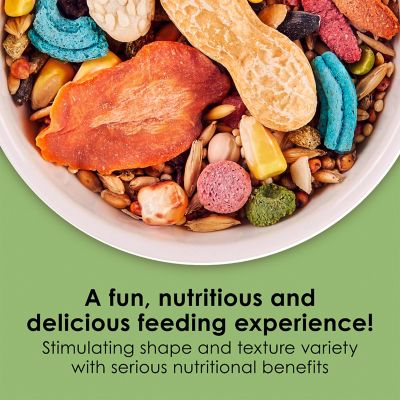 Image showing Kaytee Fiesta Max Mouse and Rat Food, 2 lb., 6 pk.