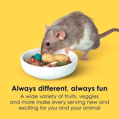 Image showing Kaytee Fiesta Max Mouse and Rat Food, 2 lb., 6 pk.