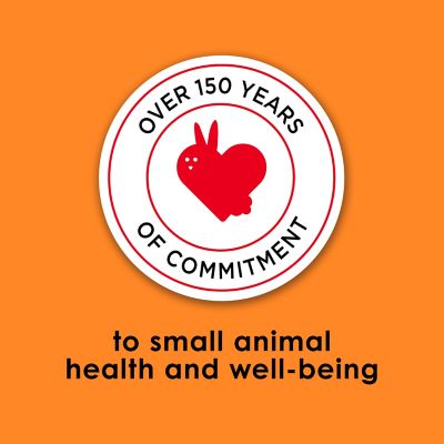 Image showing 8 th Kaytee Fiesta Max Mouse and Rat Food, 2 lb., 6 pk.