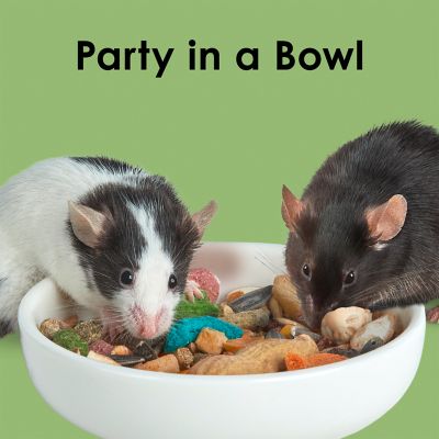 Image showing 9 th Kaytee Fiesta Max Mouse and Rat Food, 2 lb., 6 pk.