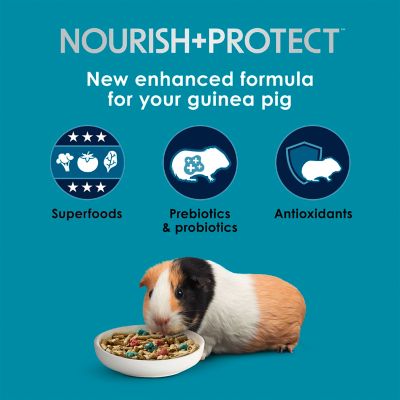 Image showing  Forti-Diet Pro Health Nourish+ Protect Guinea Pig Food 5 lb. Bag