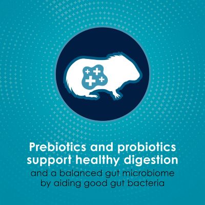 Image showing  Forti-Diet Pro Health Nourish+ Protect Guinea Pig Food 5 lb. Bag