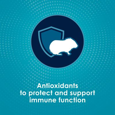 Image showing 5 th Kaytee Forti-Diet Pro Health Nourish+ Protect Guinea Pig Food 5 lb. Bag