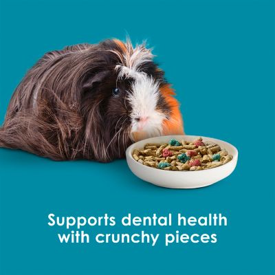 Image showing 7 th Kaytee Forti-Diet Pro Health Nourish+ Protect Guinea Pig Food 5 lb. Bag