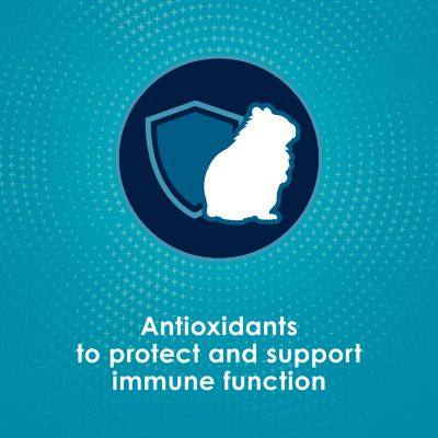 Image showing 5 th Kaytee FortiDiet Pro Health Hamster & Gerbil Food, 3 lb. Bag