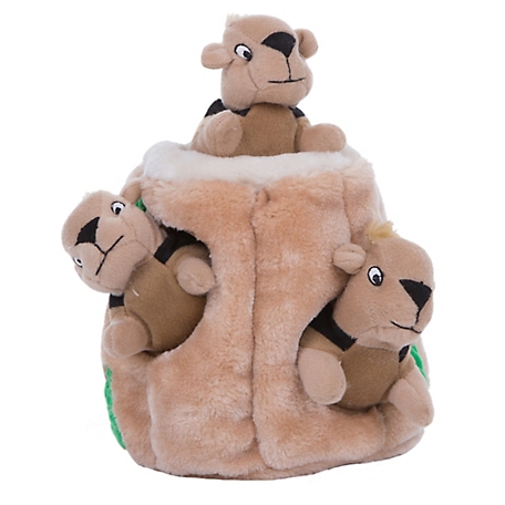 Outward Hound Hide A Squirrel Plush Junior Dog Toy at Tractor Supply Co.